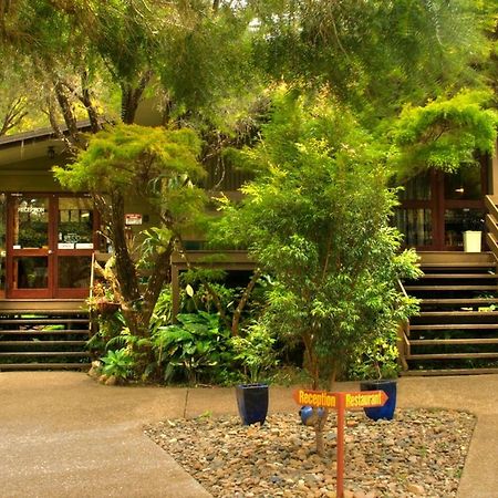 Broken River Mountain Resort Eungella Exterior photo